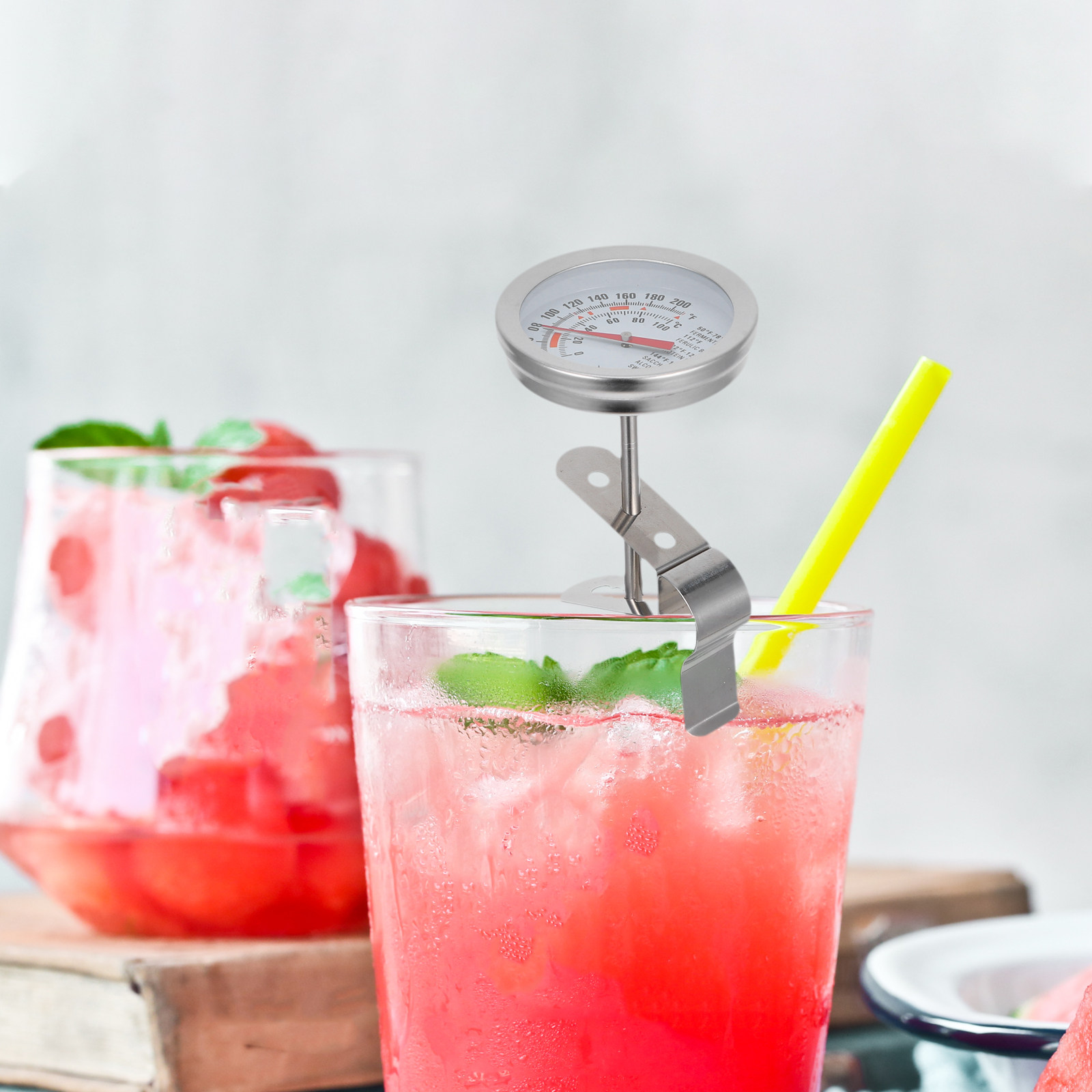 Termometro Staccabile in Accia - Instant Read Thermometer recensione e prezzo