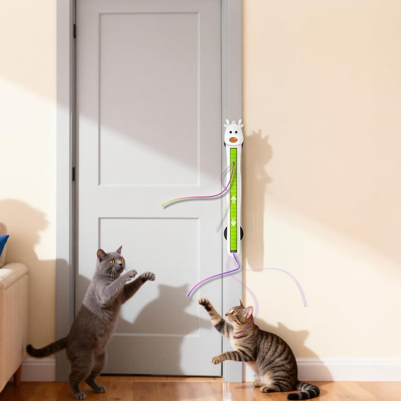 Giocattoli Elettronici per Gat - Kitchen Gadgets Electronic recensione e prezzo